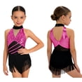 thumbnail image 5 of Doomiva Girls Sparkly Latin Dance Dress Sequin Sleeveless Fringe Tassel Color Block Cha Cha Jazz Dance Dress for Performance Hot Pink 14, 5 of 6