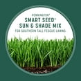 Pennington Smart Seed Sun & Shade Southern Grass Seed Mix, for Sun to