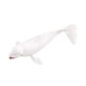 thumbnail image 4 of Figuras de ballenas realistas Figuras de animales de mar Cognitivo Toy Educational Juguetes Jugar simulación de juguetes para niños Regalos para niños Estilo B, 4 of 8
