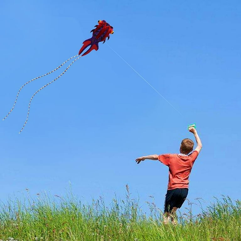 Kite Giant 3D Goldfish Frameless Soft Parafoil Kites for Kids and Adults  Easy Flyer Kite for Beach Park Garden Playground with 50m Line and 2 Kite  Tail 