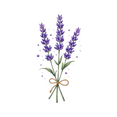 thumbnail image 5 of Watercolor Flower Theme Stickers, Waterproof Flower Theme Sticker for Water Bottle Laptop Phone Cases Planner Skateboard Luggage Helmet Party Favor Decor, Ideal for Adults Teens Teacher Rewards, 5 of 9