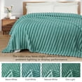thumbnail image 3 of Exclusivo Mezcla Twin Size Flannel Fleece Blanket, Super Soft 3D Striped Jacquard Blanket for Bed, Lightweight Fuzzy Cozy Blankets, Celadon, 60"x80", 3 of 8