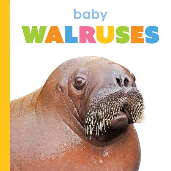 Starting Out Baby Walruses, (Hardcover)