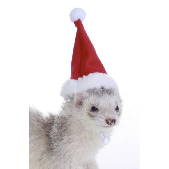 Marshall Pet Santa Chapeau pour Furets et Petits Animaux