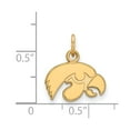 thumbnail image 2 of Real 10kt Yellow Goldy LogoArt University of Iowa XS Pendant; for Adults and Teens; for Women and Men, 2 of 2