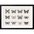 thumbnail image 2 of Art.com Set of Butterflies. Vector Vintage Classic Illustration. Black and White Art Print by Olga Korneeva, Black Frame Wall Art, 44" x 32", 2 of 5