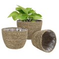 thumbnail image 2 of Black Cesta de almacenamiento de paja hecha a mano de estilo nórdico, maceta para flores de interior y exterior, contenedor de plantas, decoración para el hogar y la sala de estar, 2 of 5