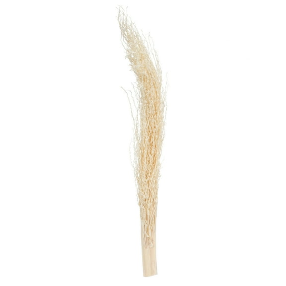 Vickerman Natural Botanicals 8"-12" Khejur Jhar, Bleached. Includes 25 pieces per Pack.