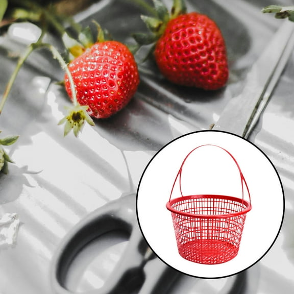 HOOWIFFY 10Pcs Round Plastic Fruit Picking Basket with Handle for Small Shopping and Picnic 7.1x7.1x4.1in
