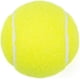 thumbnail image 3 of Paquete de 15 pelotas de tenis de entrenamiento avanzado, color verde, pelota de práctica con bolsa de transporte de malla, 3 of 3