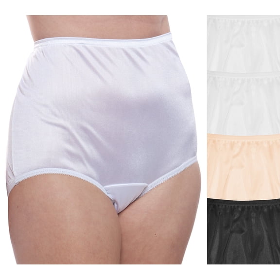 Women's Teri 331 Full Cut Nylon Brief Panty - 4 Pack (Basic Asst 11)