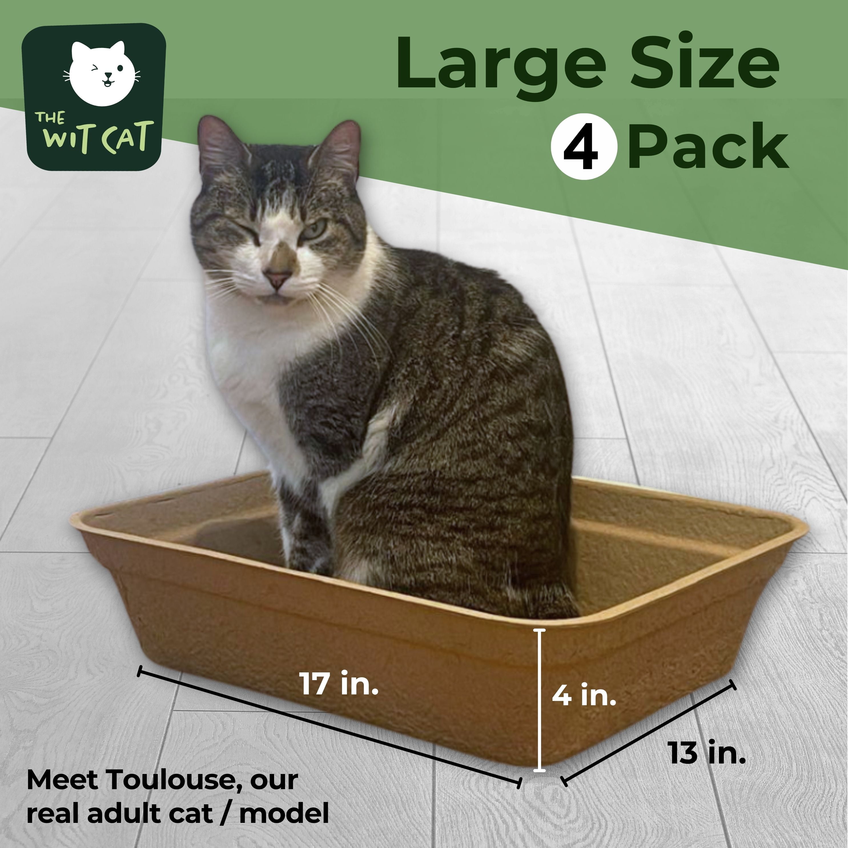 The Wit Cat Disposable Litter Boxes, Large Size, 4-Pack, Leakproof, Sturdy and Eco-Friendly