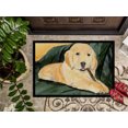 thumbnail image 3 of Carolines Treasures SS8761MAT Golden Retriever Tapis Intérieur Extérieur - 18 x 27 Po., 3 of 4