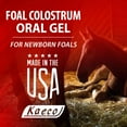 thumbnail image 3 of Kaeco Foal Colostrum Oral Gel, 3 dose Tube, 3 of 4