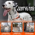 thumbnail image 2 of Correa para perros HOWGO Training, resistente, sin tirones, negra, 2 of 7