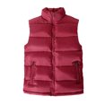 thumbnail image 2 of Joernso Autumn Winter Men Vest Solid Color Thickened Stand Collar Zipper Slim Fit Sleeveless Jacket for Daily Wear, 2 of 8