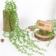 thumbnail image 2 of Plantas Suculentas Artificiales Cadena de Artificiales para Colgar Plantas, Plantas de para Decoración de Bodas Y Fiestas (82 Cm de Longitud), 2 of 9