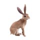 thumbnail image 5 of 2xEstatuilla De Animal Adorno Moderno Lindo Para Sala De Estar Mesa Dormitorio 4x2x6cm Conejo, 5 of 10