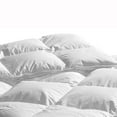 thumbnail image 2 of Highland Feather 600 Loft European White Down Duvet 233TC Pure Cotton Casing, 2 of 5