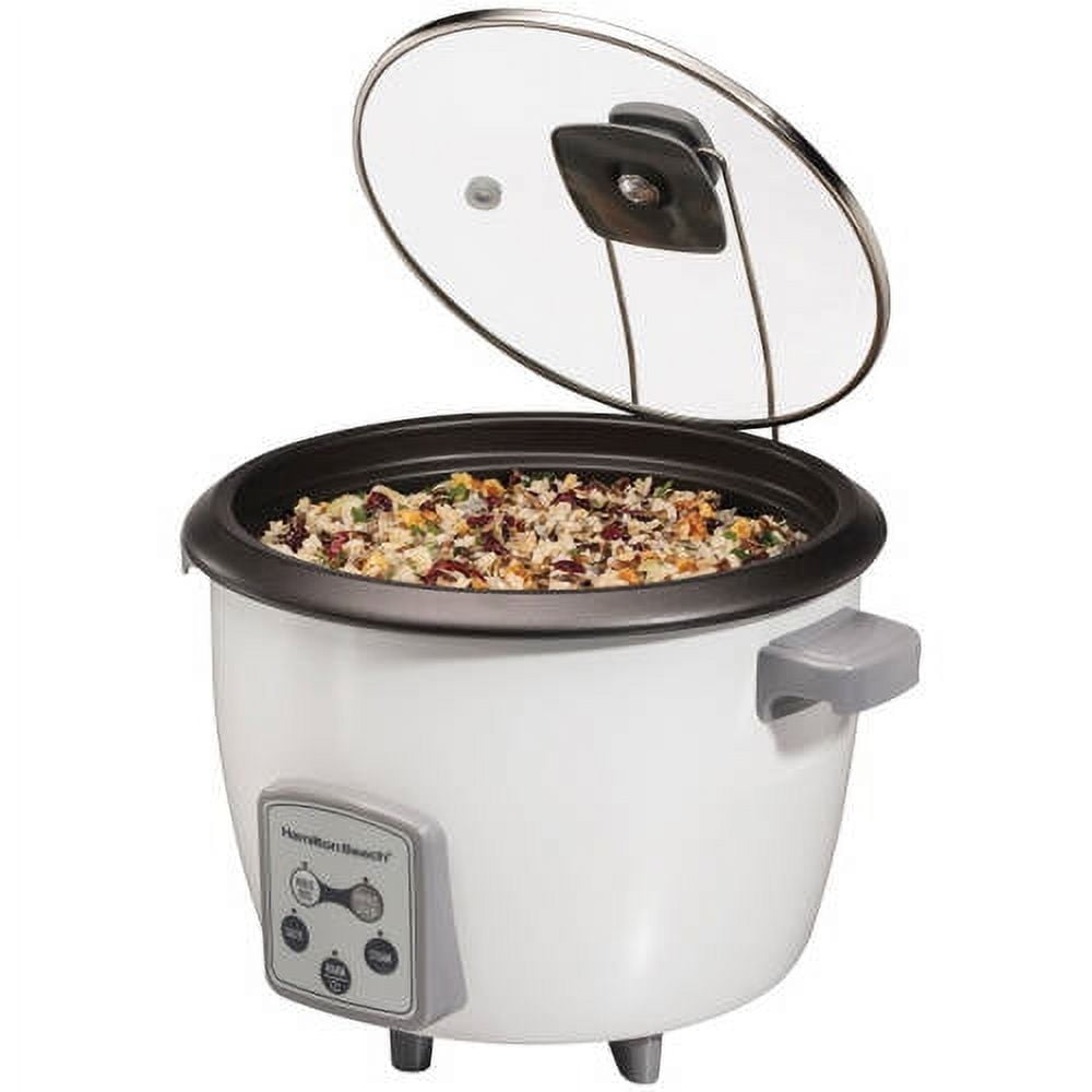 Hamilton Beach Brands Inc. 37517 16 Cups Rice Cooker & Steamer With Glass  Lid
