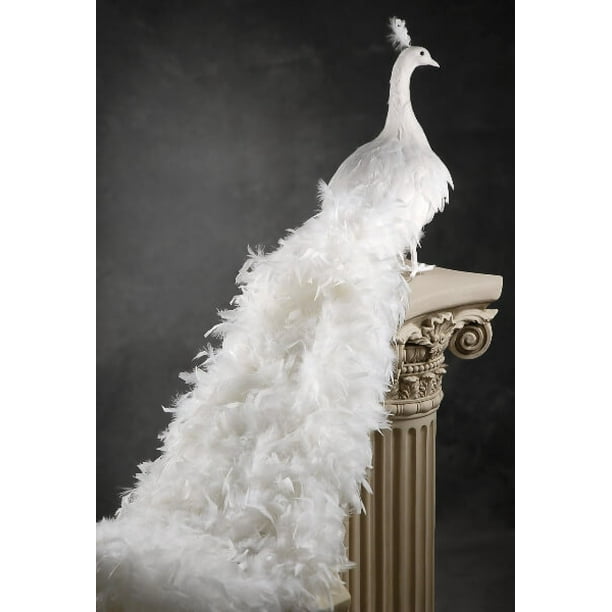 White Artificial Peacock with Curly Feathers 54 inch