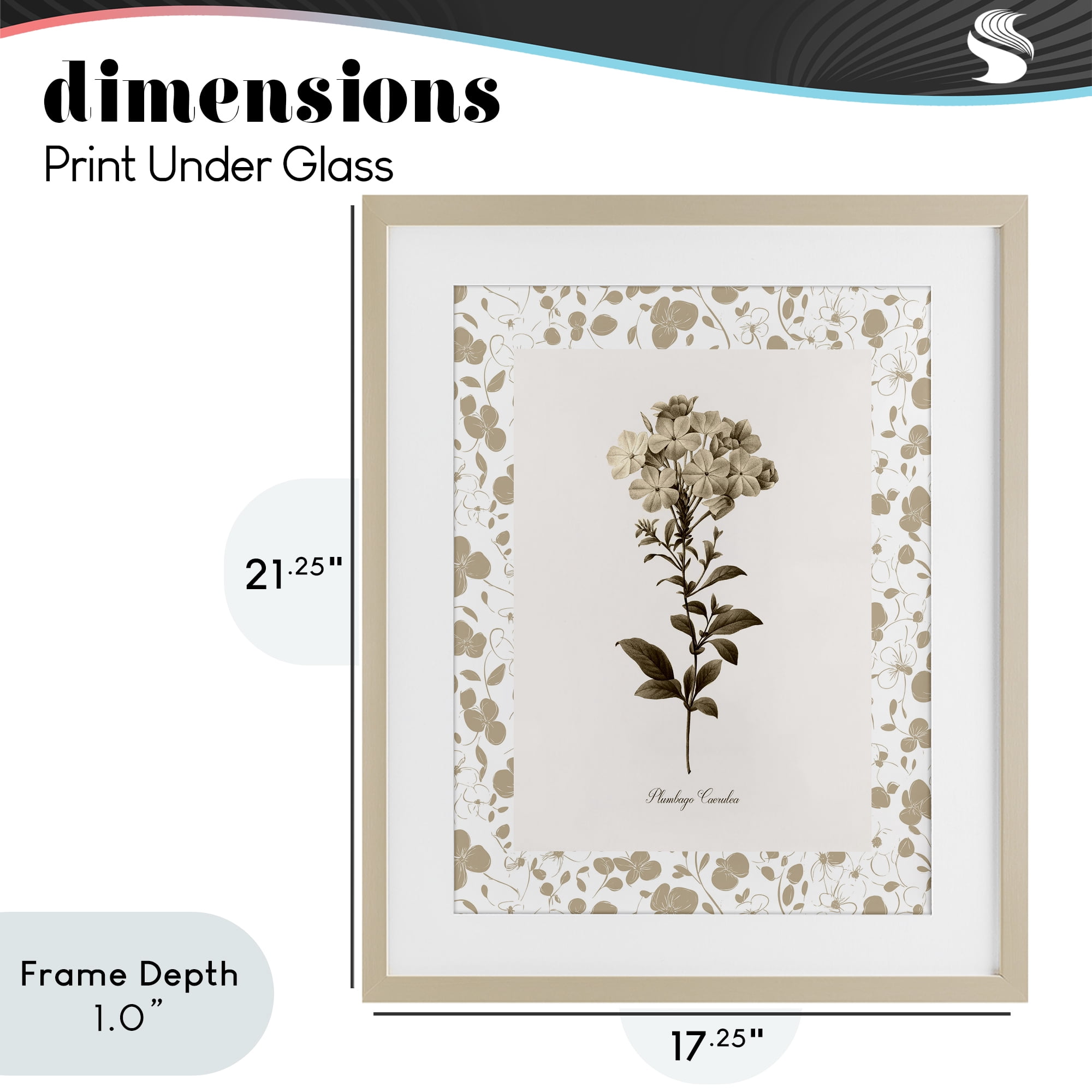 Stupell Industries Neutral Imperial Botanical Birch Framed Print Under Glass, design by Kelly Donovan