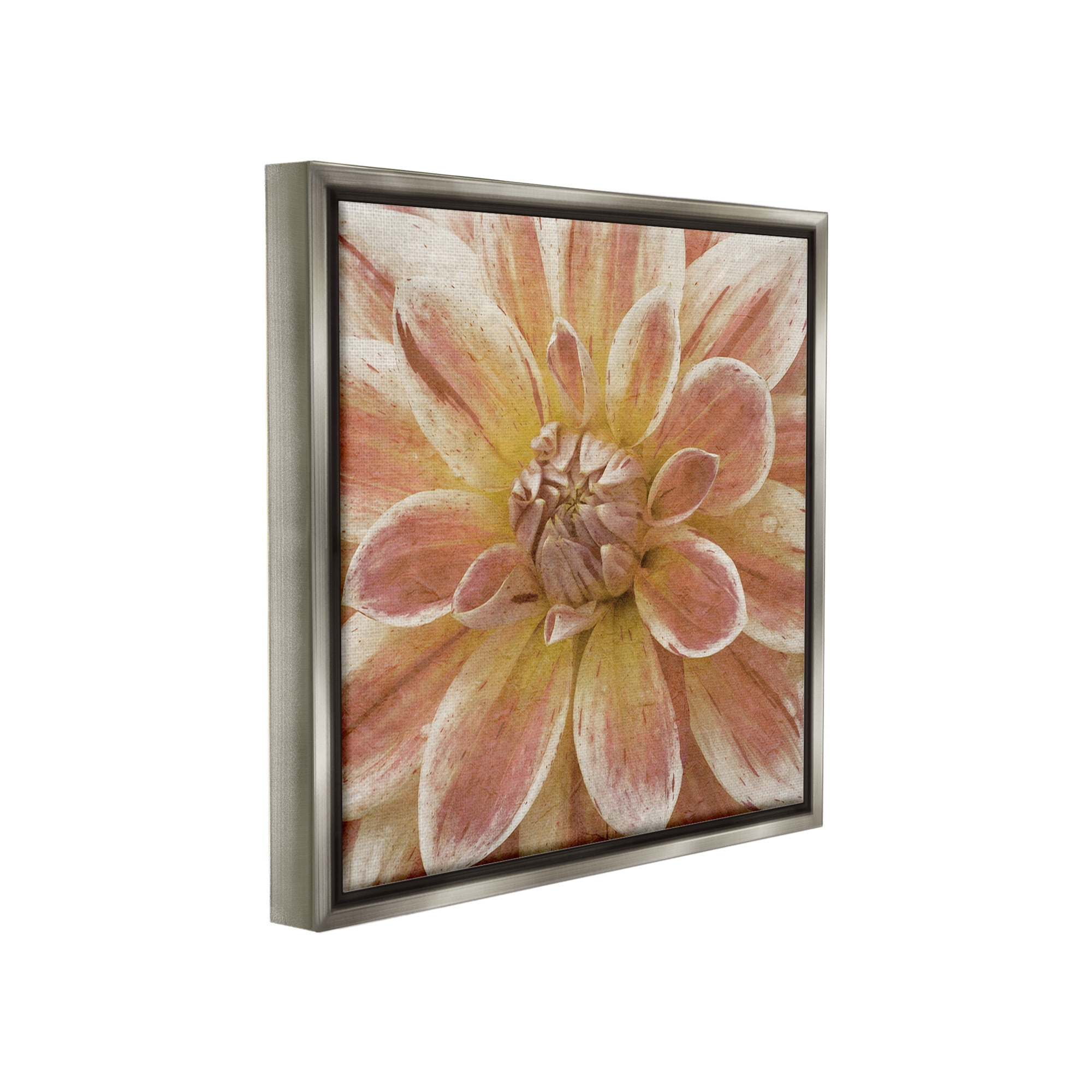 Stupell Industries Blooming Petals Close Up Botanical & Floral Painting Gray Floater Framed Canvas Art Print Wall Art, 18 x 18