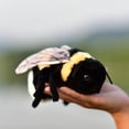 thumbnail image 1 of TAMMYFLYFLY - Juguete de peluche con forma de abeja, muñeco de peluche con forma de abeja, 17cm, 1 of 1