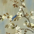 thumbnail image 3 of Jensen, Asia 12x12 Black Modern Framed Museum Art Print Titled - Apple Bloom III, 3 of 5