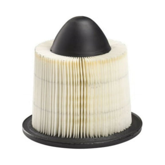 Carquest Standard AIR FILTER