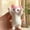 A, variant on Squishy Toys, DELESYS Cute Cat Squishies - Squeeze Soft Stress Relief Sensory Toys, Gifts for Christmas, Birthday, Holidays
