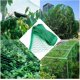 thumbnail image 1 of Garden Bird Net 13 X 33 Pies Resistente A Las Aves Protección Verde Frutas Y Verduras Reutilizable,11 Feliz Sencillez, 1 of 4