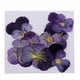 thumbnail image 2 of 1 piezas de tarjetas de invitación con flores y hojas secas de diferentes tamaños, formas y estilos. Flores violetas, 2 of 9
