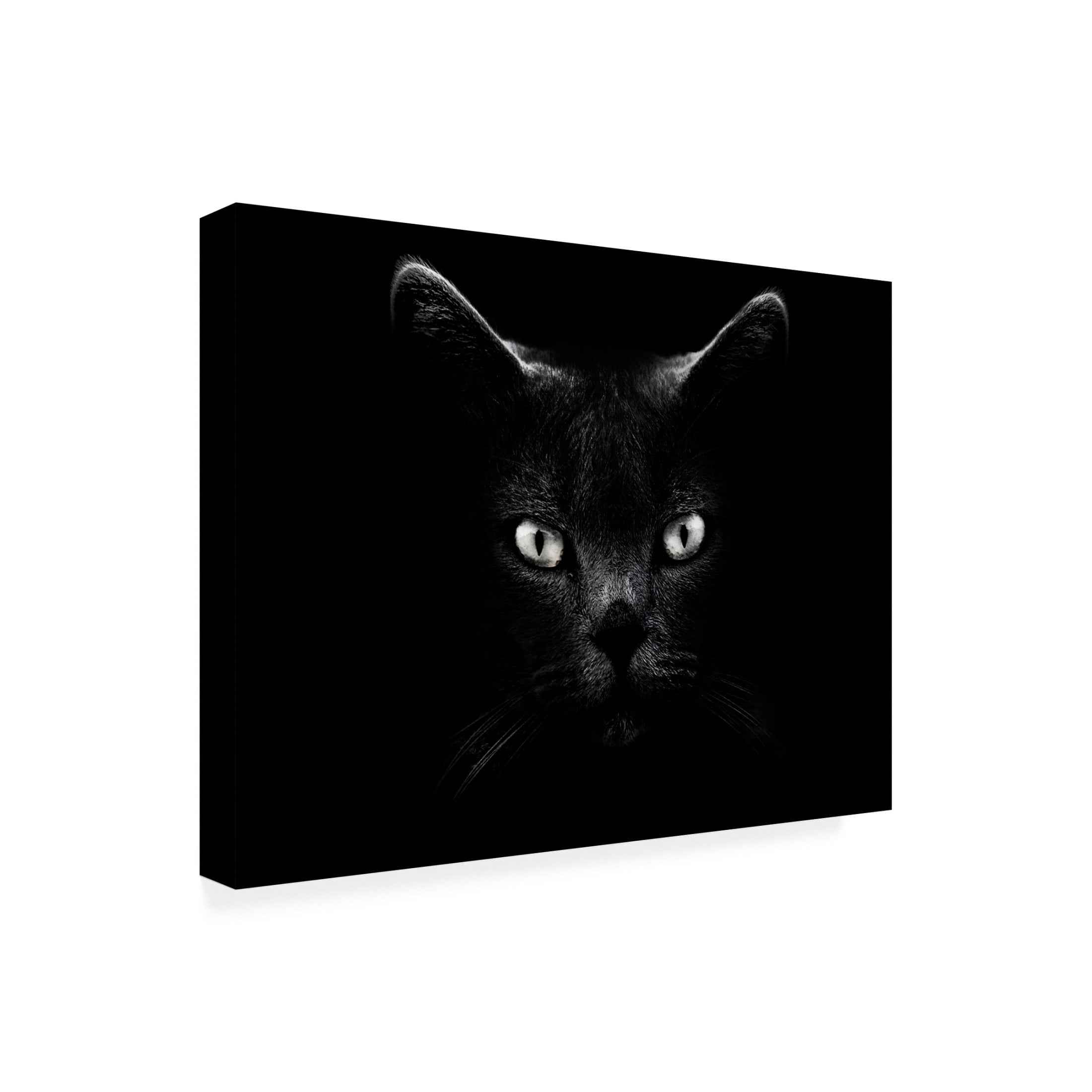 Canvas Wall Art - Antonio Grambone 'Black Cat Portrait' Wall Art for Living Room, Bedroom, or Office Décor by Trademark Fine Art - 24 x 18 Inches
