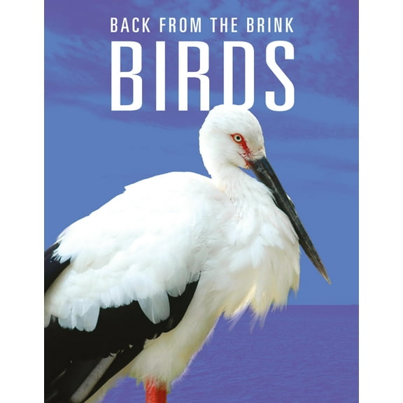 Birds: Back from the Brink, (Paperback)