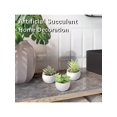 thumbnail image 2 of A Set Of 3 Miniature Artificial Succulent Plants, Green Plants In Black Pots, Made Of Pe, Faux Plant, Ideal For Desk Decoration, Home And Garden Decor, 2 of 4
