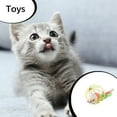 thumbnail image 2 of Greeniant Juguete para mascotas, rata realista, juguetes de voz coloridos, juguete resistente a mordeduras, alivio de la presión, adornos para Juguetes para gatos, 2 of 6