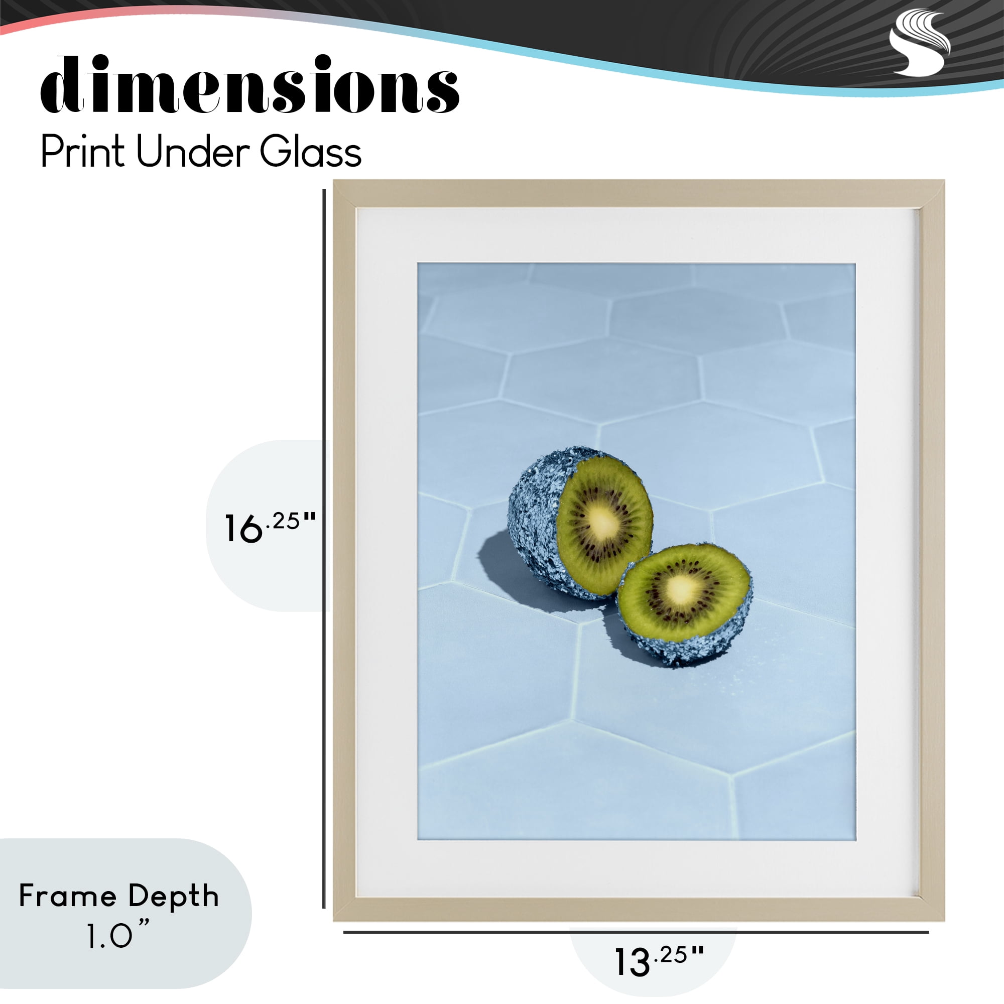 Stupell Industries Blue Glimmer Kiwi Birch Framed Print Under Glass, design by LISH Creative