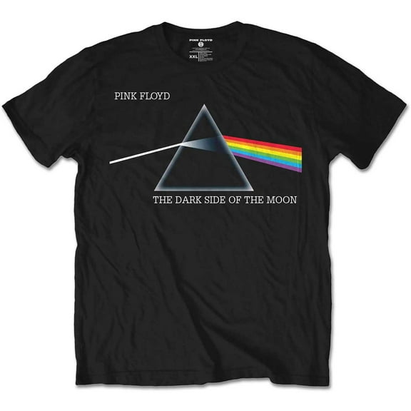 Pink Floyd Kids T-Shirt: Dark Side of the Moon Courier (11-12 Years)
