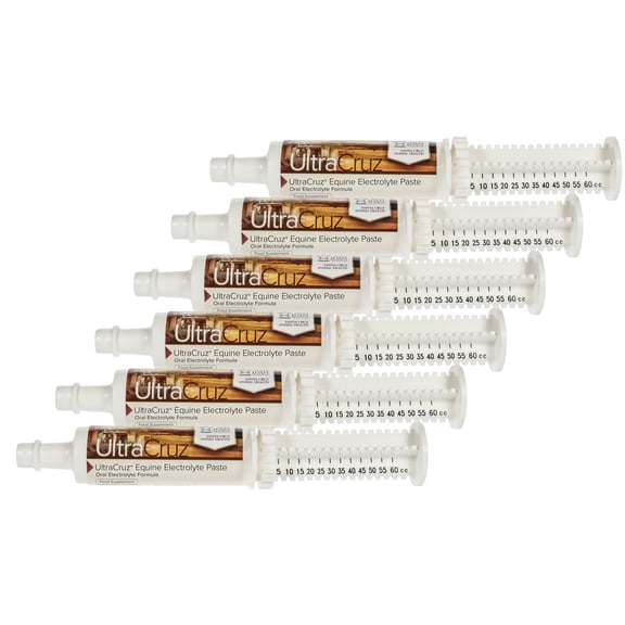 UltraCruz® Equine Electrolyte Paste, 6x60 ml