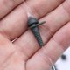 thumbnail image 2 of Aparejos De Pesca De Carpa, Clips De Plomo De Pesca De Gran Calibre Interior Suave Para Agua Dulce Para Pesca ANGGREK Otros, 2 of 8