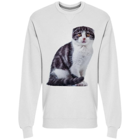 Scottish Kitten Standing Sweatshirt Men -Image by Shutterstock Men Sweatshirt, Male 3X-Large