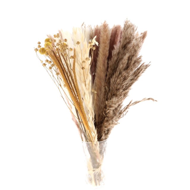 70 piezas de decoración de hierba seca natural, hierba pomposa alta, arreglo de jarrón, decoración bohemia, florales, ramo Colco Hierba de pampa seca