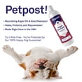 thumbnail image 2 of Petpost | Argan Shampoo for Dogs - Naturally Heals, Protects, & Rejuvenates Dog Dry Skin & Coat - Argan Oil and Aloe Formula, 2 of 6