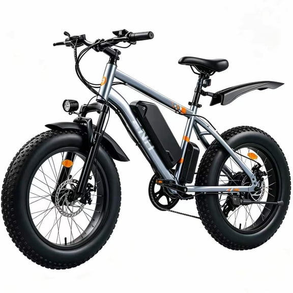 ZNH 1000W Fat Tire Electric Bike, 20×4" Off Road E-Bike, 48V 13Ah Battery, 20MPH, 40 Miles, UL2849 Certified,Gray