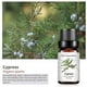 thumbnail image 2 of Aceite esencial Alivia la fatiga Aceite de aromaterapia 10 ml una esencia, 2 of 5