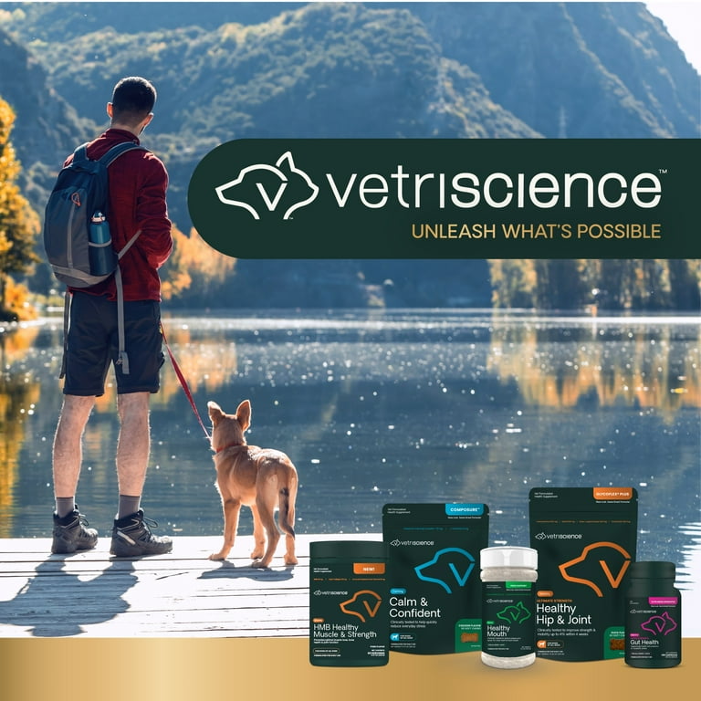 VetriScience Probiotic Everyday Soft Chews, Immune System Support