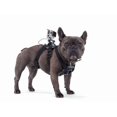 thumbnail image 5 of Adjustable Dog Band For Gopro Hero8 7 6 5 4 3 Sports Camera Mount Holder, 5 of 5