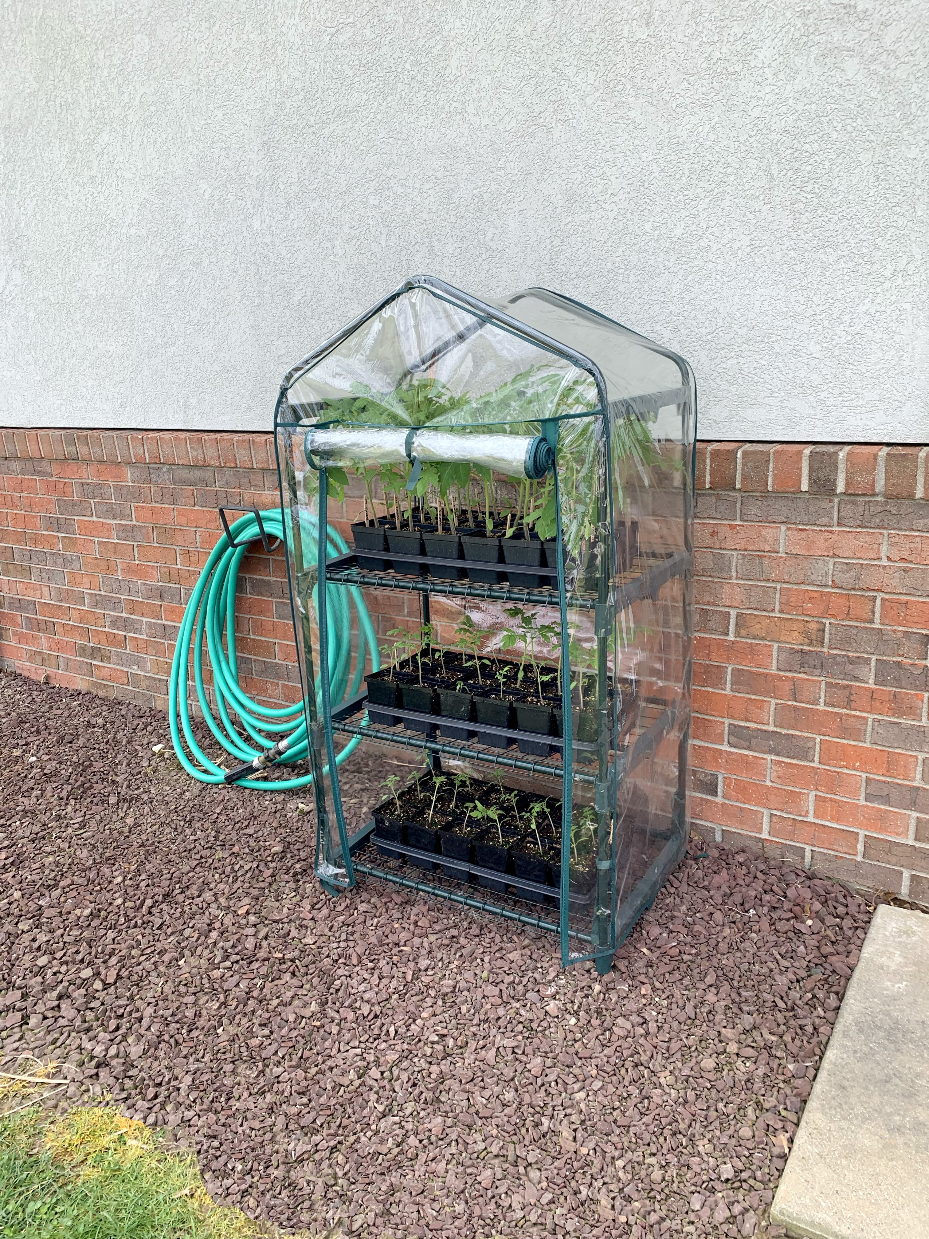 Tierra Garden 3 Shelf Mini Greenhouse 27" x 19" x 49", Lightweight