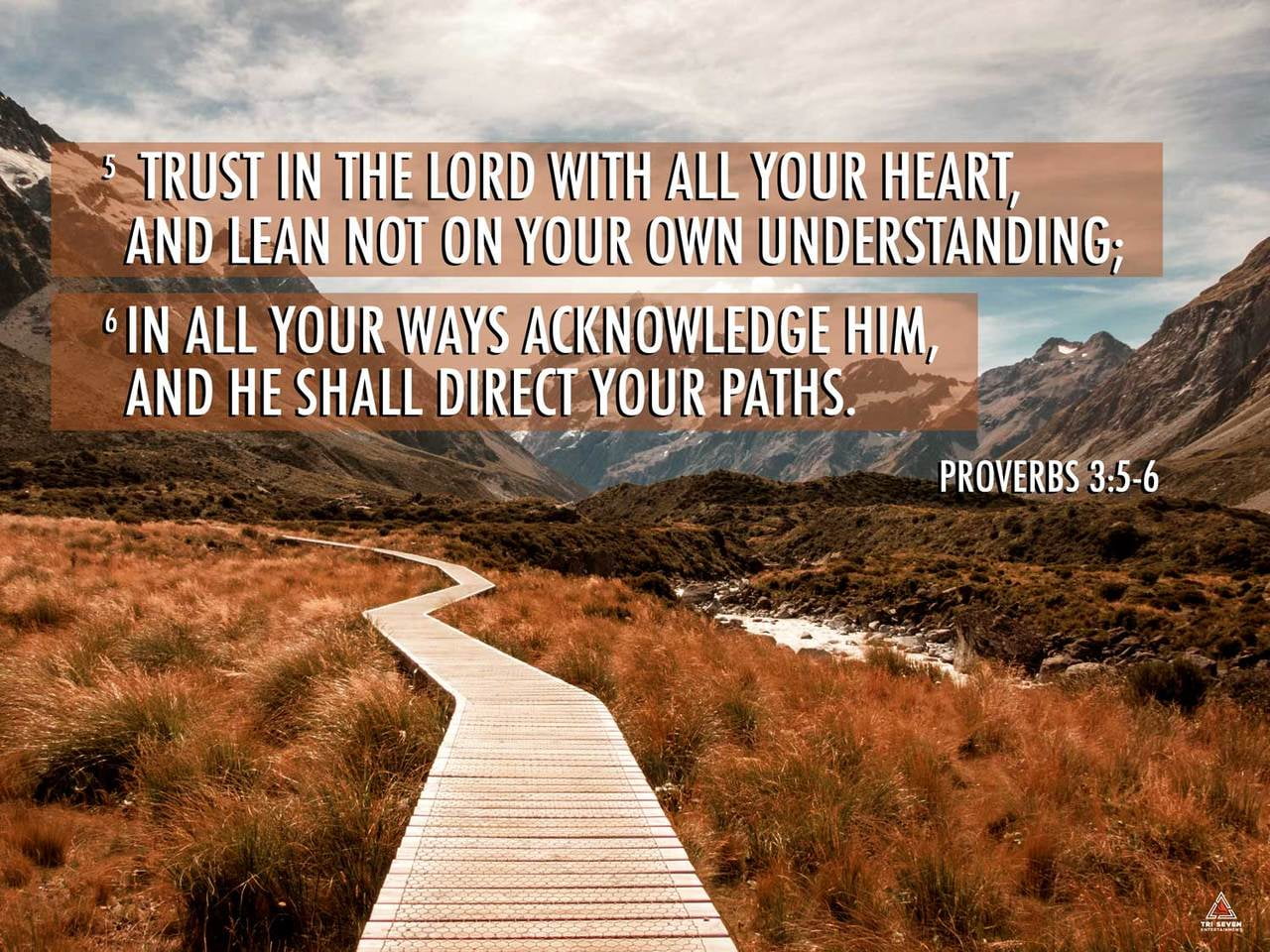 Proverbs 3:5-6 Poster Trust in the Lord Bible Verse Quote Wall Art 24x18